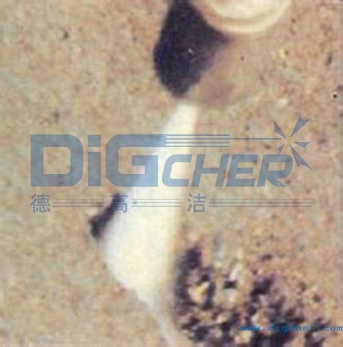 �߉�ˮ�����Ǝr