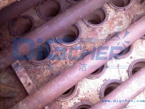 �Ǽ��P�g����